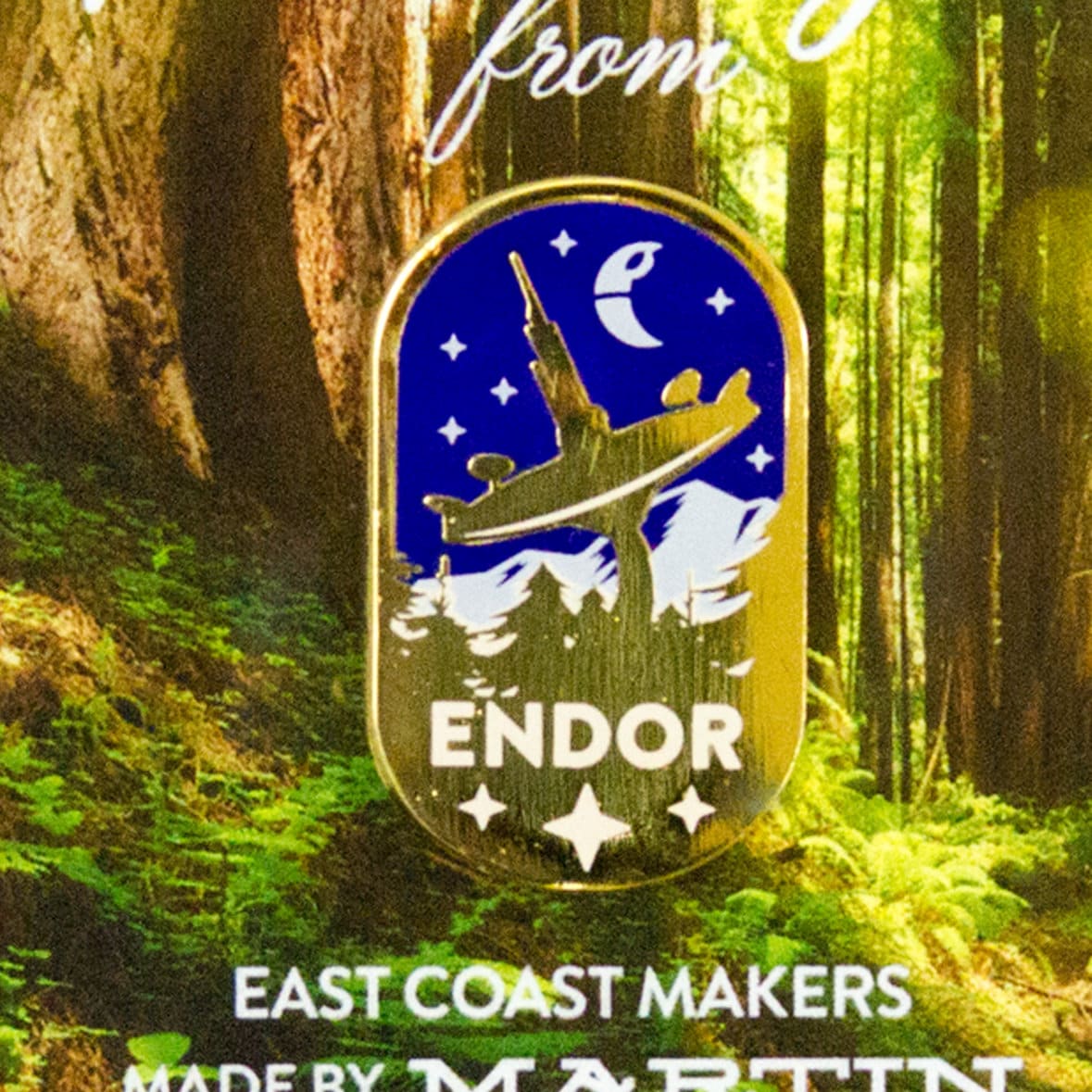 Greetings from Endor! Lapel Pin