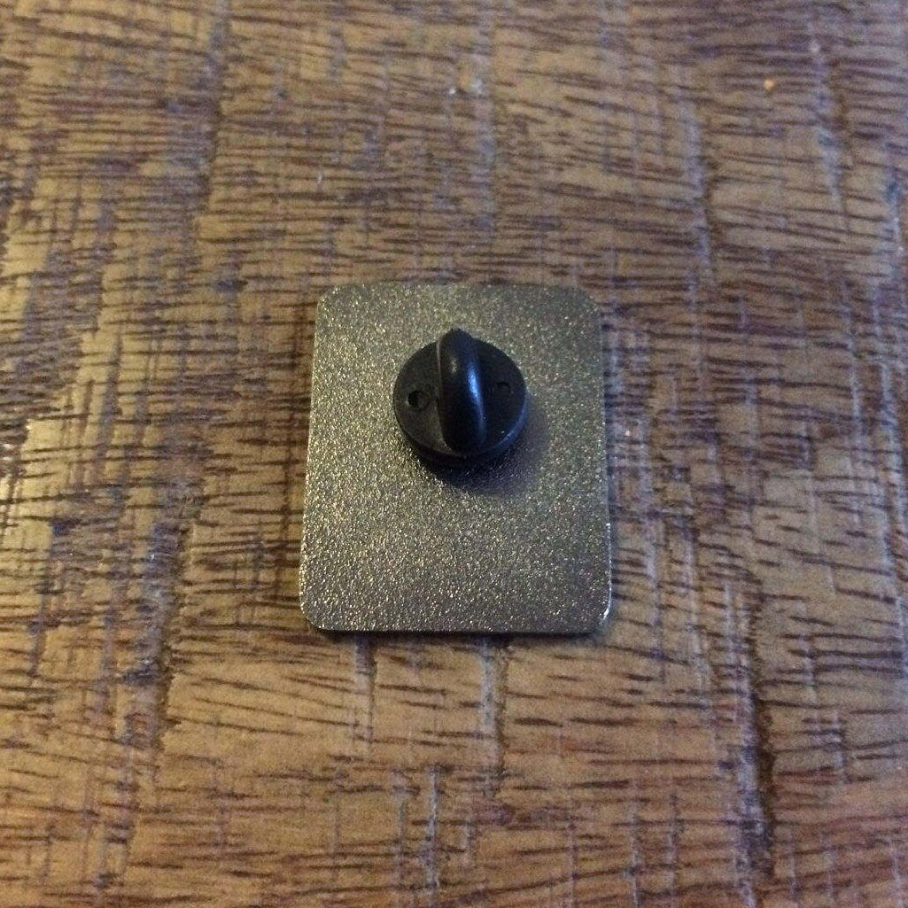 Greetings from Tatooine! Lapel Pin